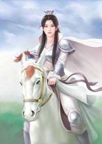 《靓影佳人:先生别忘记》