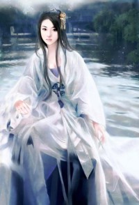 《首席,你被捕了》